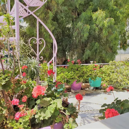 Aparthotel Pallada *